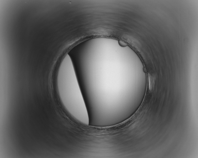X0000090730675200707200956