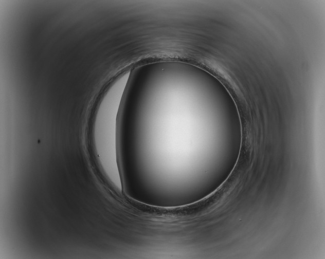 X0000090730677200707200956