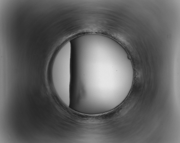 X0000090730678200707200956