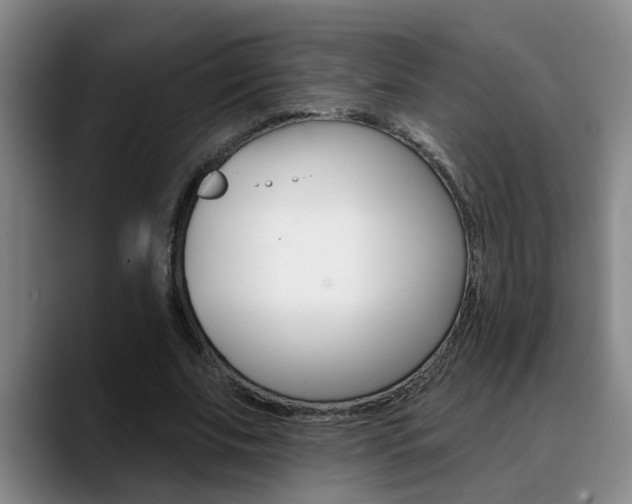 X0000090730679200707200956