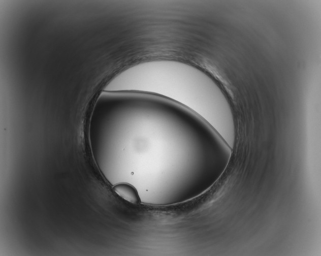X0000090730681200707200956