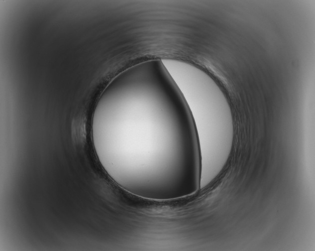 X0000090730685200707200955