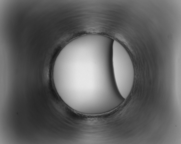 X0000090730686200707200955