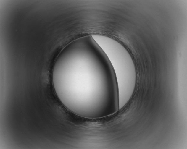X0000090730689200707200955