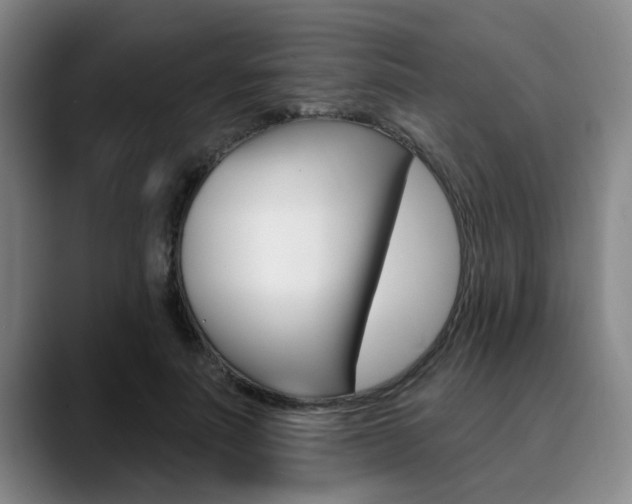 X0000090730691200707200955