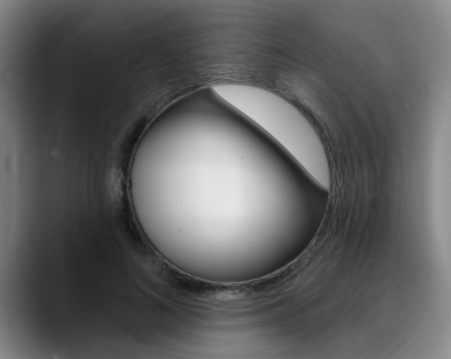 X0000090730692200707200955