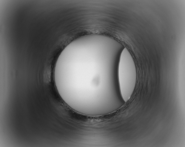 X0000090730694200707200955