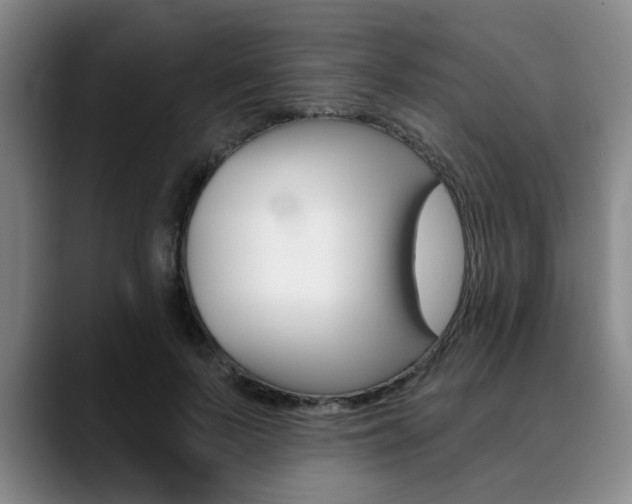 X0000090730695200707200955