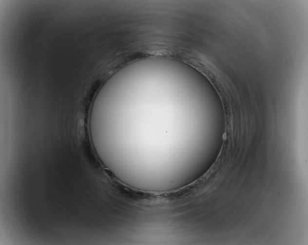 X0000090730696200707200955