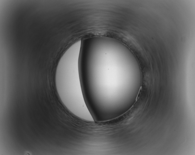 X0000090730697200707200955