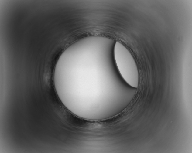 X0000090730698200707200955