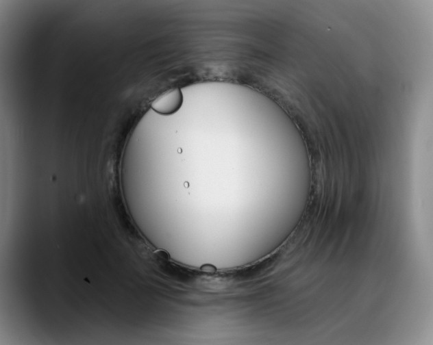 X0000090730699200707200955