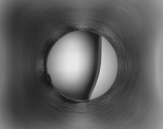 X0000090730700200707200955