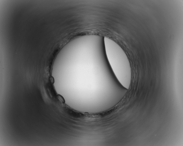 X0000090730707200707200955