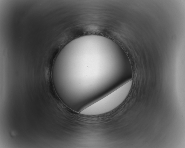 X0000090730708200707200955