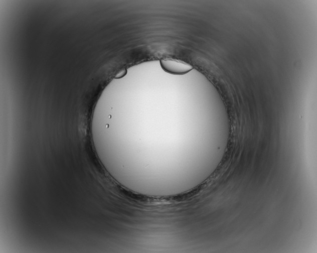 X0000090730710200707200955