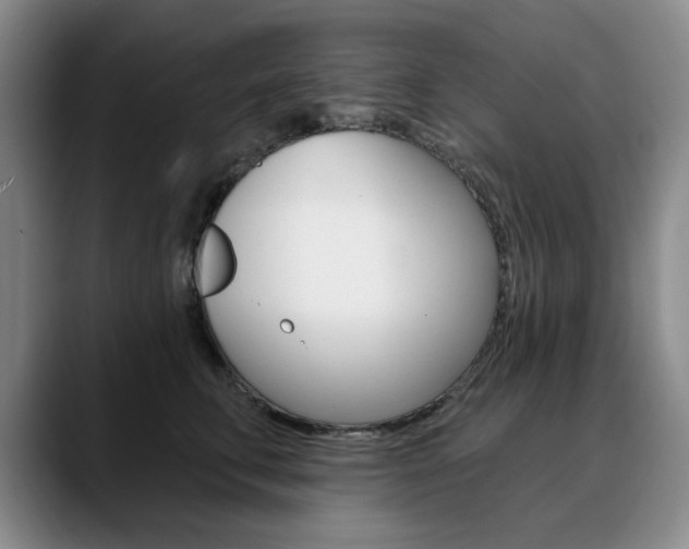 X0000090730711200707200955