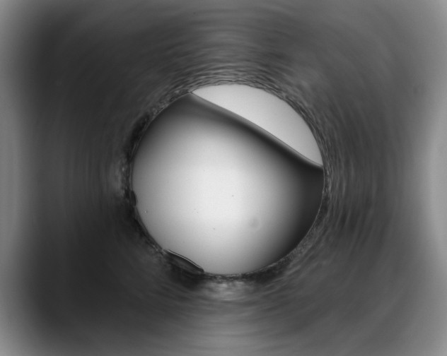 X0000090730712200707200955