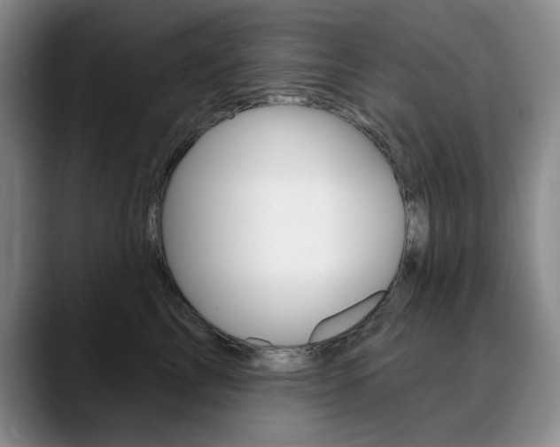 X0000090730713200707200955