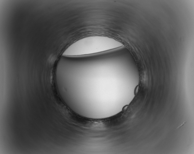 X0000090730715200707200955