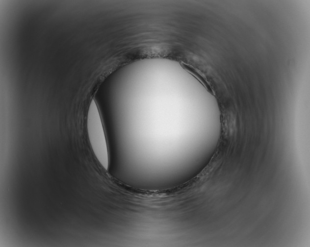 X0000090730716200707200955