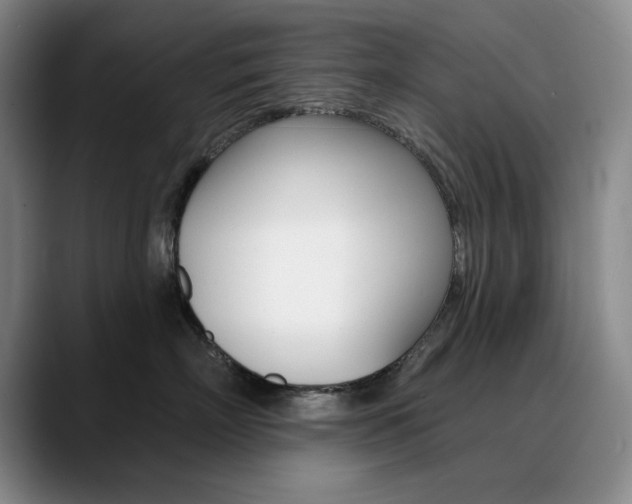 X0000090730718200707200955