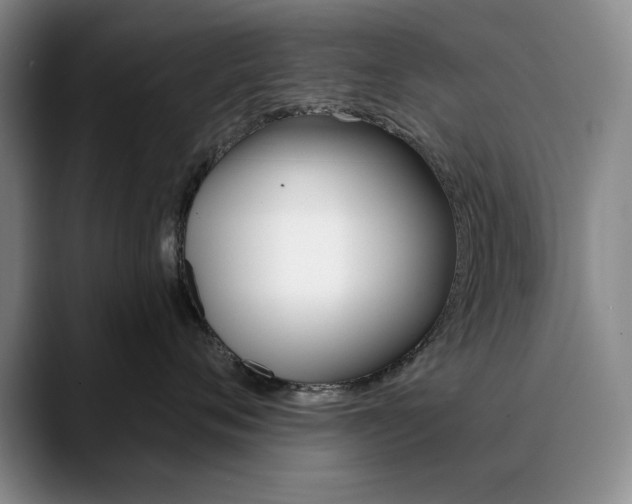 X0000090730720200707200955