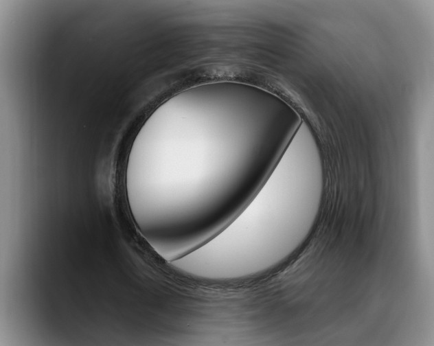 X0000090730722200707200955
