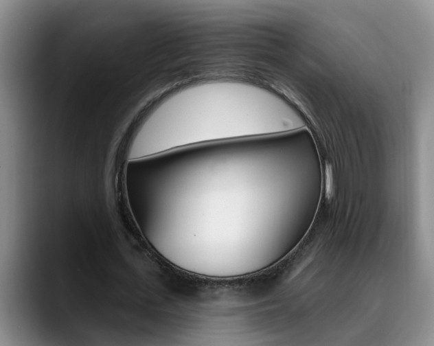 X0000090730723200707200955