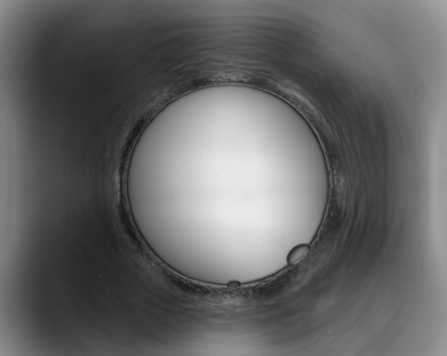X0000090730729200707200955