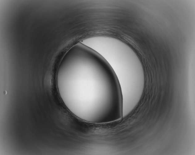 X0000090730732200707200955