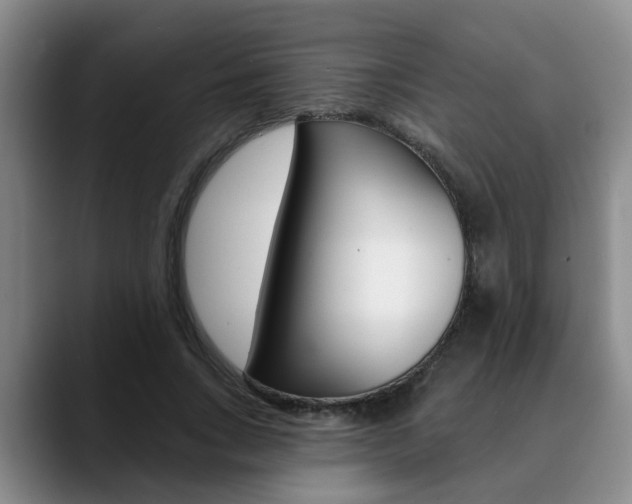 X0000090730735200707200955