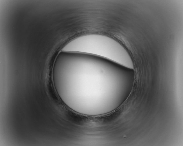 X0000090730736200707200955