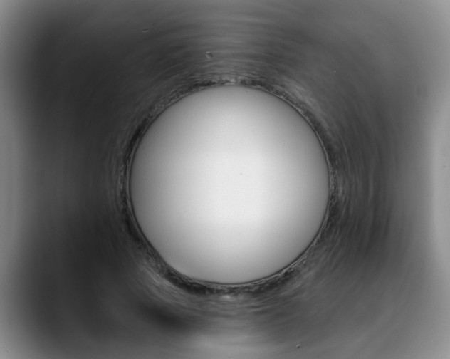X0000090730737200707200955