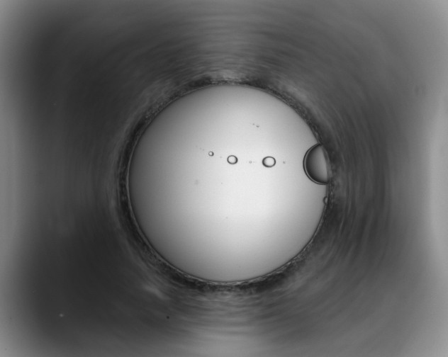 X0000090730738200707200955