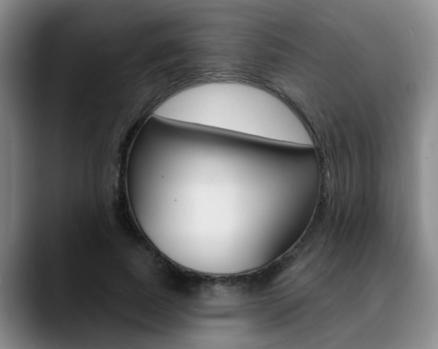 X0000090730739200707200955
