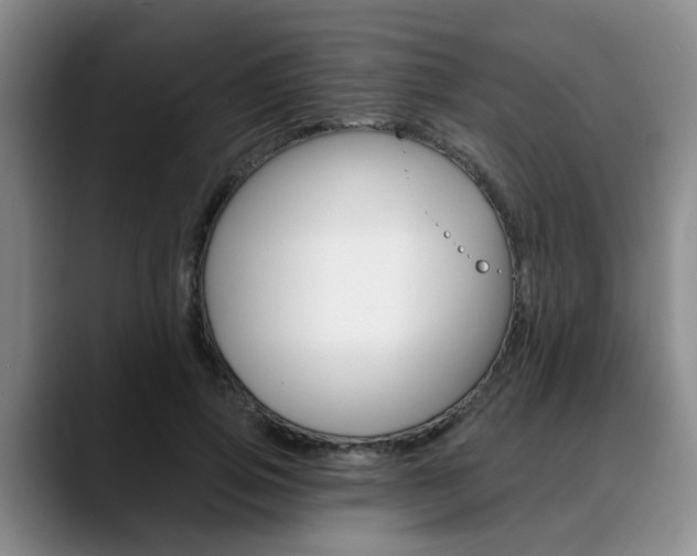 X0000090730741200707200955