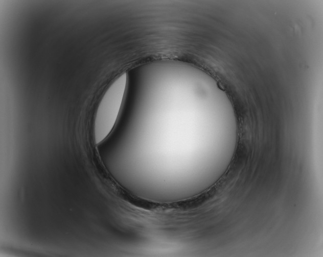 X0000090730742200707200955