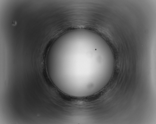 X0000090730743200707200955
