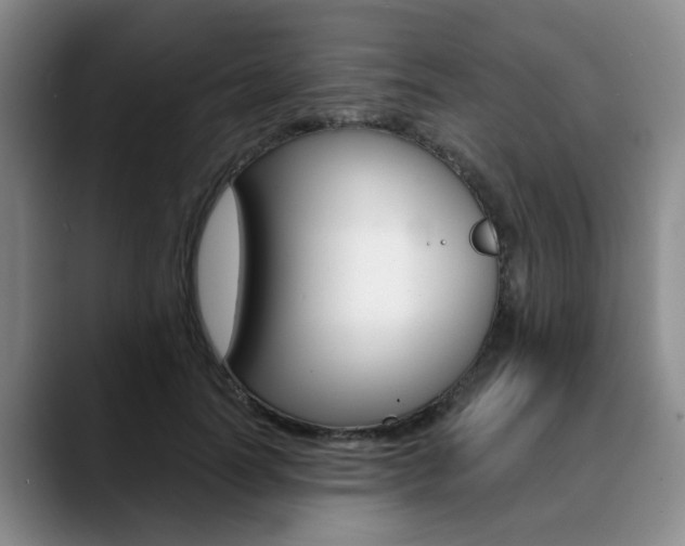 X0000090730746200707200955