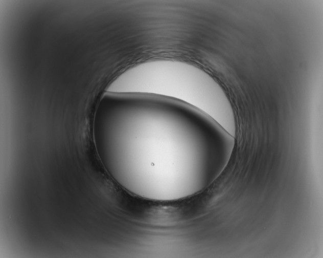 X0000090730748200707200955