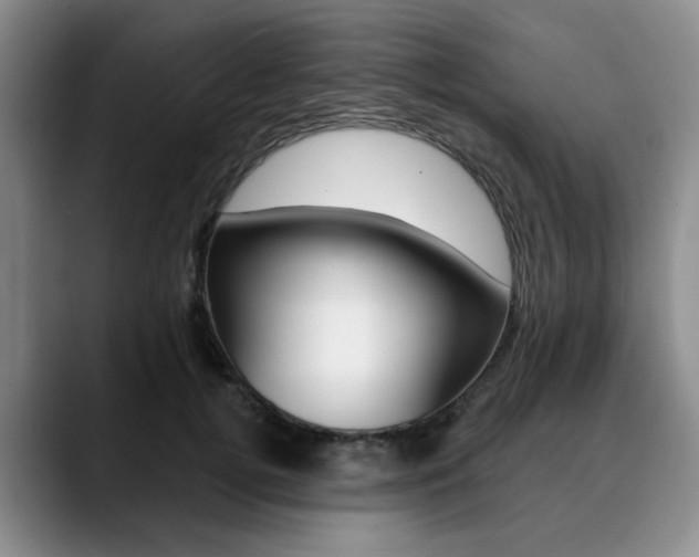 X0000090730752200707200955