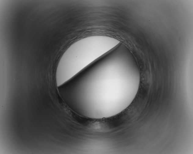 X0000090730755200707200955