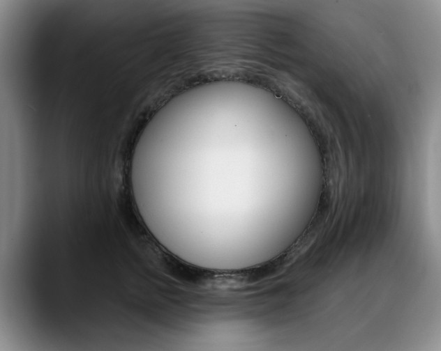X0000090730758200707200955