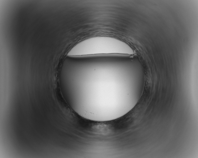 X0000090730759200707200955