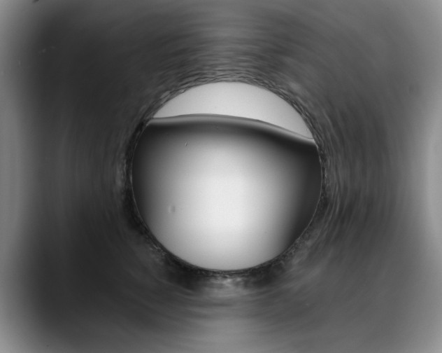 X0000090730760200707200955