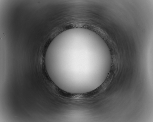 X0000090730761200707200955
