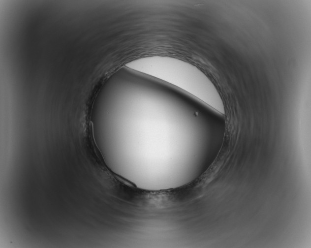 X0000090730762200707200955