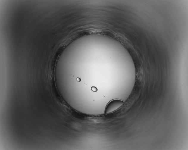 X0000090730763200707200955
