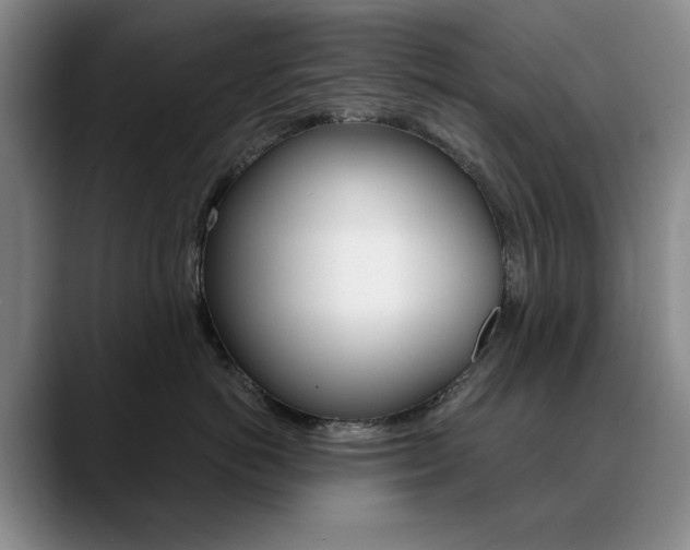 X0000090730766200707200955